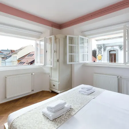 公寓 Barbo Palace And *