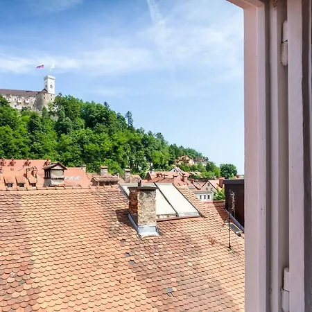 Apartment Barbo Palace And